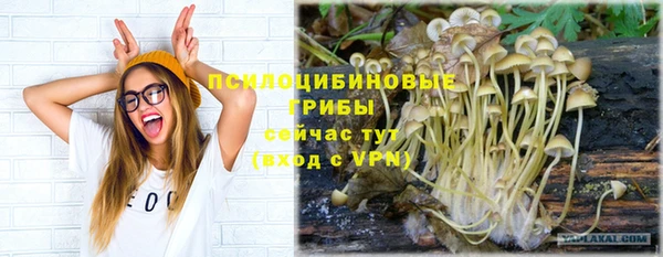 COCAINE Алексеевка